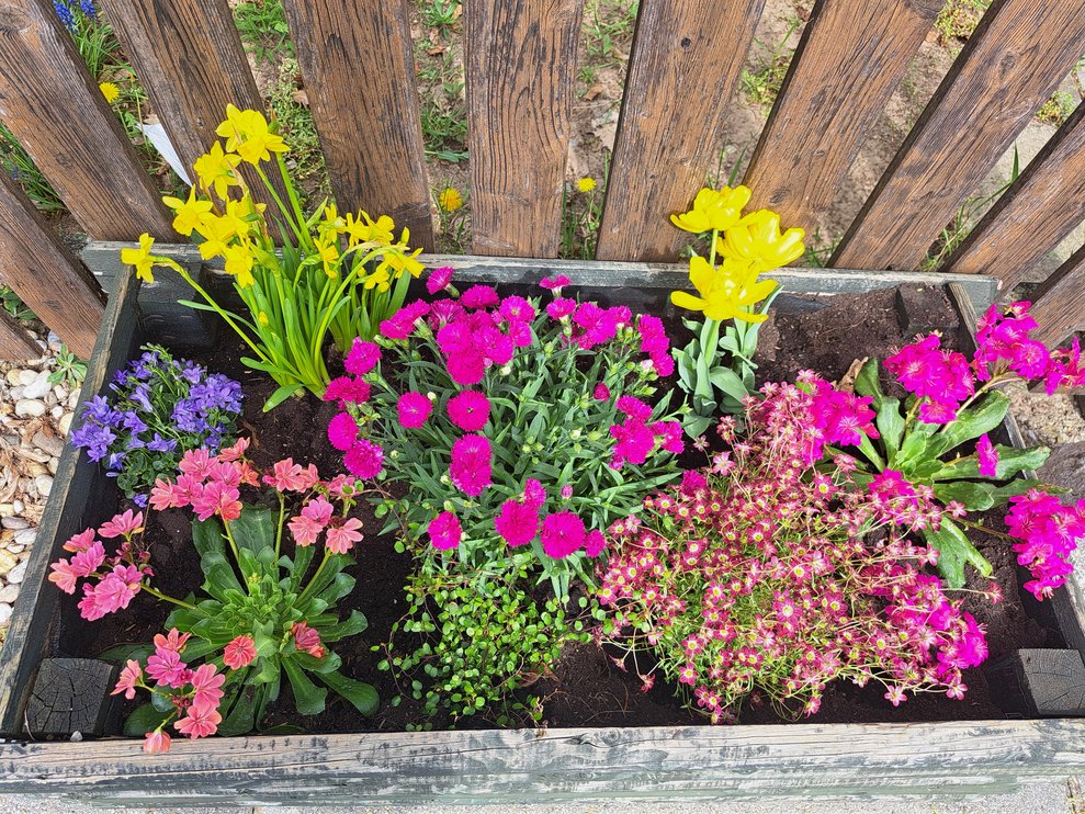 Der fertig gesetzte Blumenkasten. 